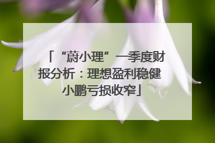 “蔚小理”一季度财报分析：理想盈利稳健 小鹏亏损收窄