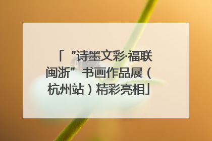 “诗墨文彩·福联闽浙”书画作品展（杭州站）精彩亮相
