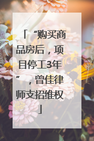 “购买商品房后，项目停工3年”，曾佳律师支招维权