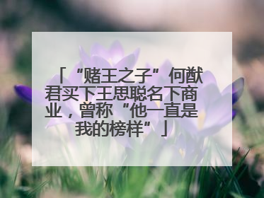 “赌王之子”何猷君买下王思聪名下商业，曾称“他一直是我的榜样”