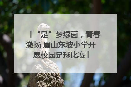 “足”梦绿茵，青春激扬 眉山东坡小学开展校园足球比赛
