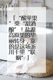 “酸苹果”变“甜酒酿”！盐源高原果的华丽转身，靠的是这场浙川千里“联姻”