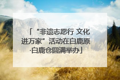 “非遗志愿行 文化进万家”活动在白鹿原·白鹿仓圆满举办