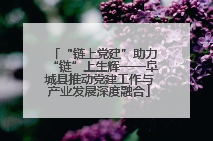 “链上党建”助力“链”上生辉——阜城县推动党建工作与产业发展深度融合