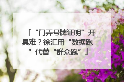 “门弄号牌证明”开具难？徐汇用“数据跑”代替“群众跑”