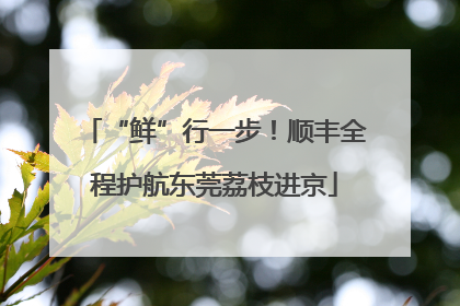 “鲜”行一步！顺丰全程护航东莞荔枝进京