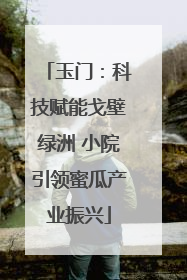 玉门：科技赋能戈壁绿洲 小院引领蜜瓜产业振兴