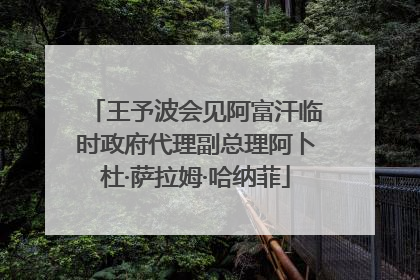 王予波会见阿富汗临时政府代理副总理阿卜杜·萨拉姆·哈纳菲