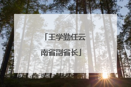 王学勤任云南省副省长