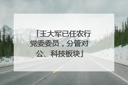 王大军已任农行党委委员，分管对公、科技板块