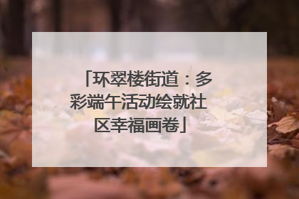 环翠楼街道：多彩端午活动绘就社区幸福画卷