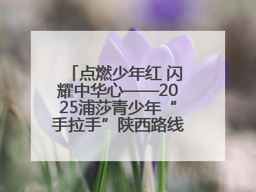 点燃少年红 闪耀中华心——2025浦莎青少年“手拉手”陕西路线丝路续新章
