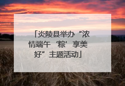炎陵县举办“浓情端午‘粽’享美好”主题活动