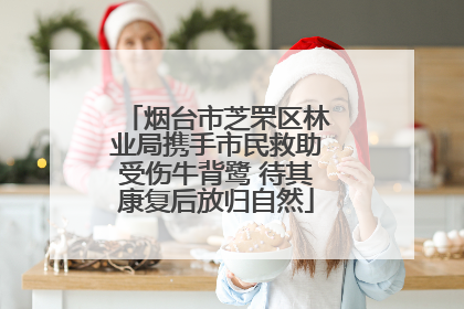 烟台市芝罘区林业局携手市民救助受伤牛背鹭 待其康复后放归自然