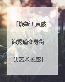 焕新！黄陂锦秀道变身街头艺术长廊