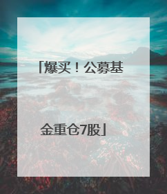 爆买！公募基金重仓7股