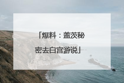爆料：盖茨秘密去白宫游说
