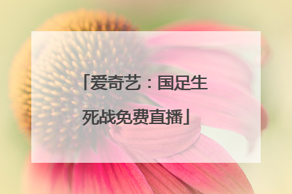 爱奇艺：国足生死战免费直播