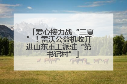爱心接力战“三夏”！雷沃公益机收开进山东重工派驻“第一书记村”