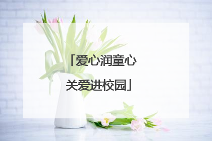 爱心润童心 关爱进校园