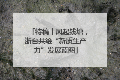 特稿丨风起钱塘，浙台共绘“新质生产力”发展蓝图