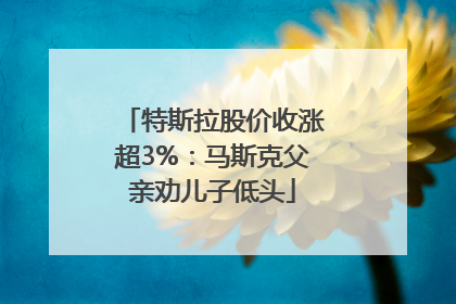 特斯拉股价收涨超3%：马斯克父亲劝儿子低头