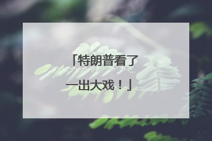 特朗普看了一出大戏！