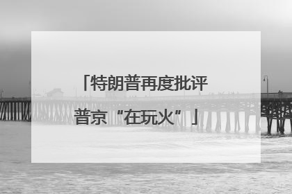 特朗普再度批评普京“在玩火”