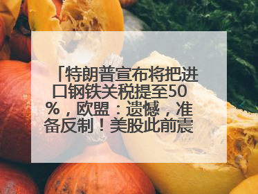 特朗普宣布将把进口钢铁关税提至50%，欧盟：遗憾，准备反制！美股此前震荡，机构：美元正进入熊市