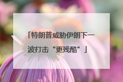 特朗普威胁伊朗下一波打击“更残酷”