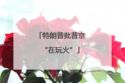 特朗普批普京“在玩火”