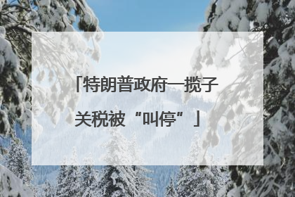 特朗普政府一揽子关税被“叫停”