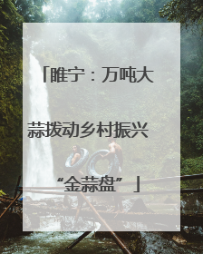 睢宁：万吨大蒜拨动乡村振兴“金蒜盘”