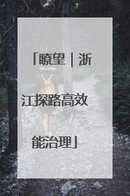 瞭望｜浙江探路高效能治理