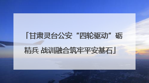 甘肃灵台公安“四轮驱动”砺精兵 战训融合筑牢平安基石