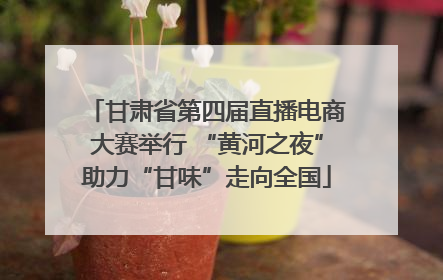 甘肃省第四届直播电商大赛举行 “黄河之夜”助力“甘味”走向全国