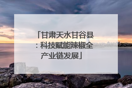甘肃天水甘谷县：科技赋能辣椒全产业链发展