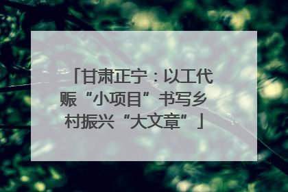 甘肃正宁：以工代赈“小项目”书写乡村振兴“大文章”