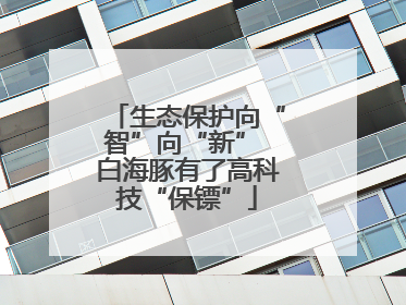 生态保护向“智”向“新” 白海豚有了高科技“保镖”