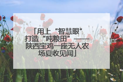 用上“智慧眼” 打造“吨粮田”——陕西宝鸡一座无人农场夏收见闻
