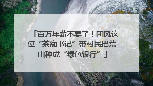 百万年薪不要了！团风这位“茶痴书记”带村民把荒山种成“绿色银行”