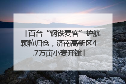 百台“钢铁麦客”护航颗粒归仓，济南高新区4.7万亩小麦开镰