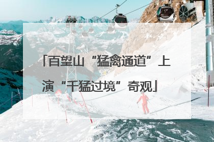 百望山“猛禽通道”上演“千猛过境”奇观