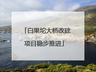 白果坨大桥改建项目稳步推进