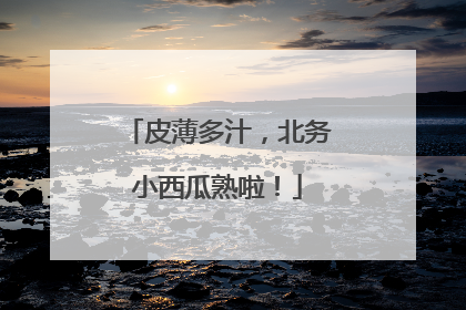 皮薄多汁，北务小西瓜熟啦！