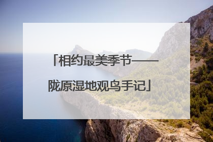 相约最美季节——陇原湿地观鸟手记