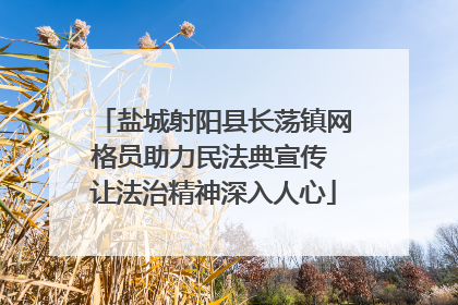 盐城射阳县长荡镇网格员助力民法典宣传 让法治精神深入人心