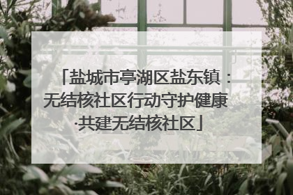 盐城市亭湖区盐东镇：无结核社区行动守护健康 ·共建无结核社区
