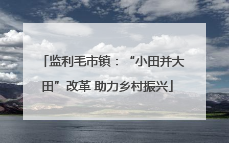 监利毛市镇：“小田并大田”改革 助力乡村振兴