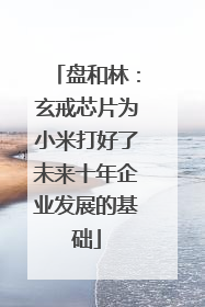 盘和林：玄戒芯片为小米打好了未来十年企业发展的基础